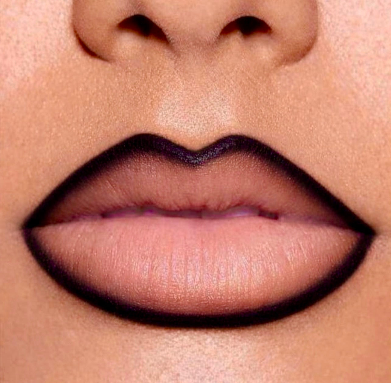 precision lip liner (midnight)