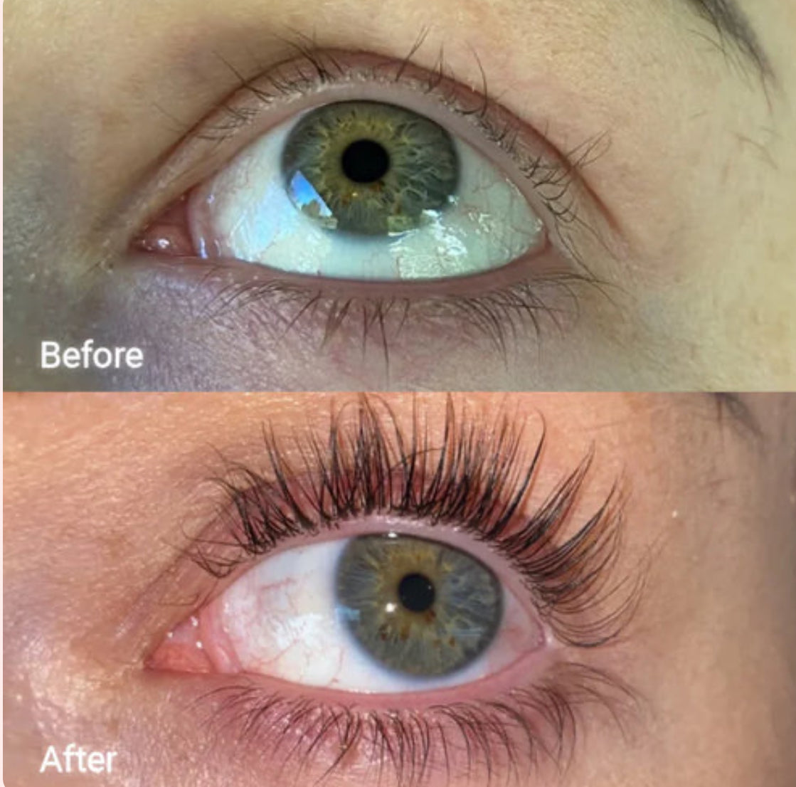 Eyelash & Eyebrow Growth Serum