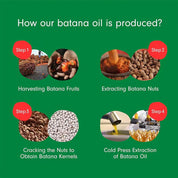 Batana Hair Growth Oil